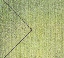 Ковровая плитка Milliken Clerkenwell tgp 118-103-141 Former Glory фото 1 | FLOORDEALER